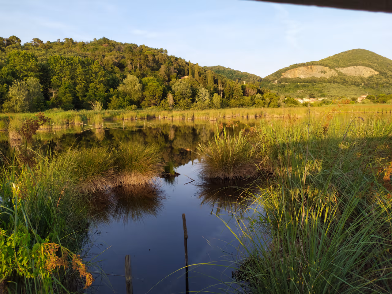 Migliarino, san rossore, massaciuccoli natural park in Pisa