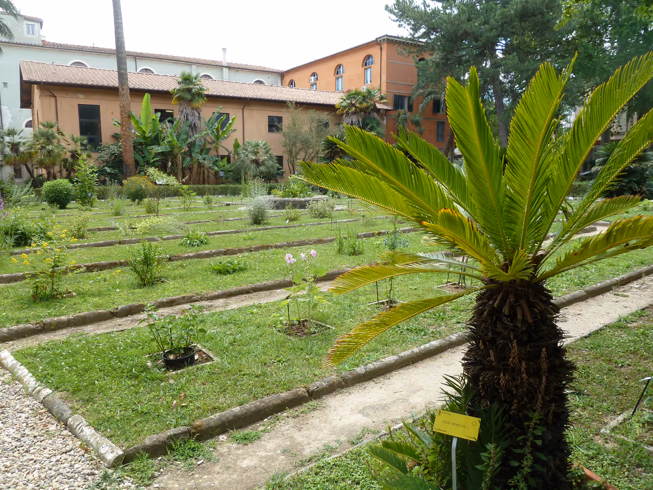Botanical garden and museum in Pisa