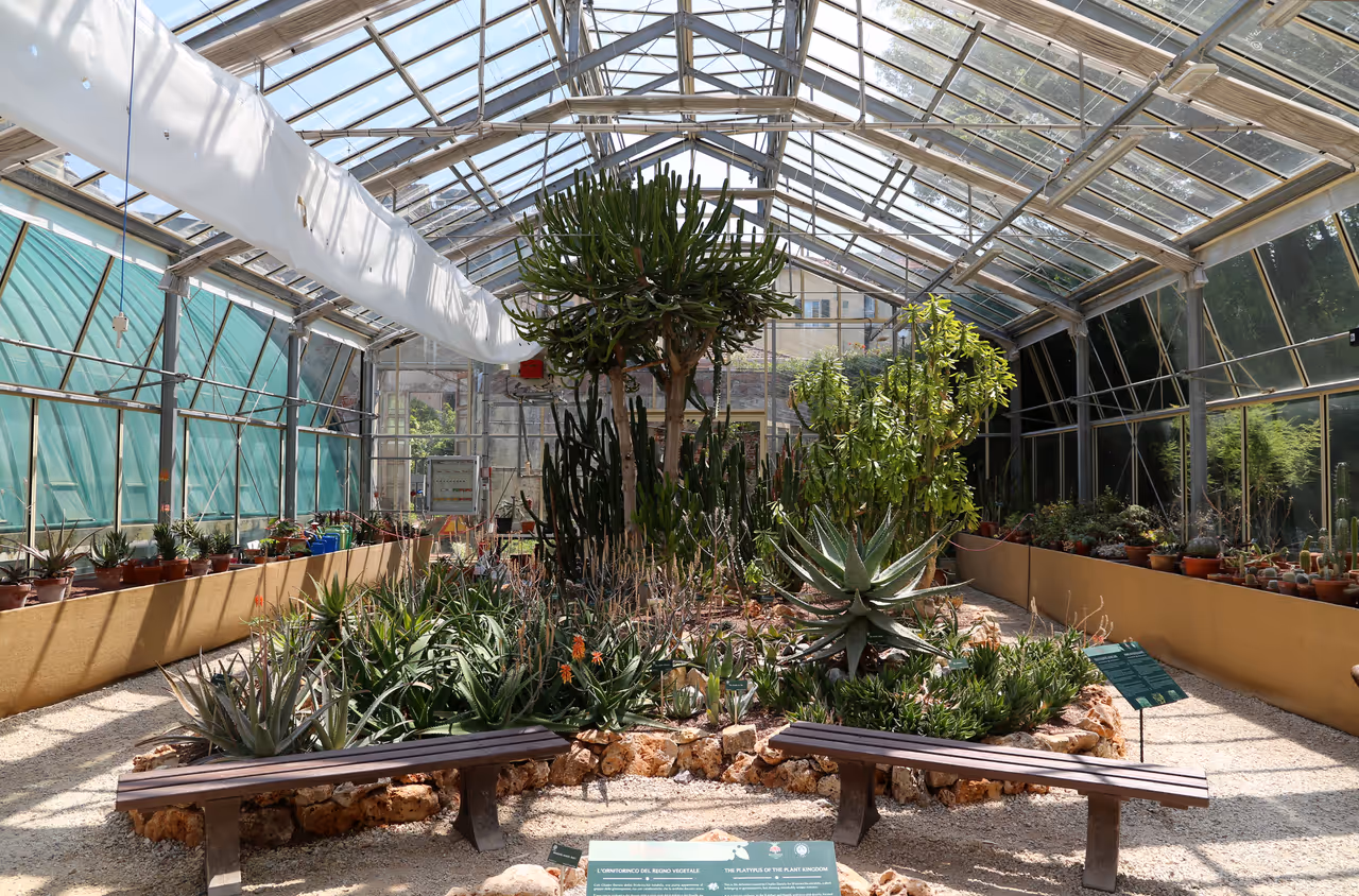 Botanical garden and museum in Pisa