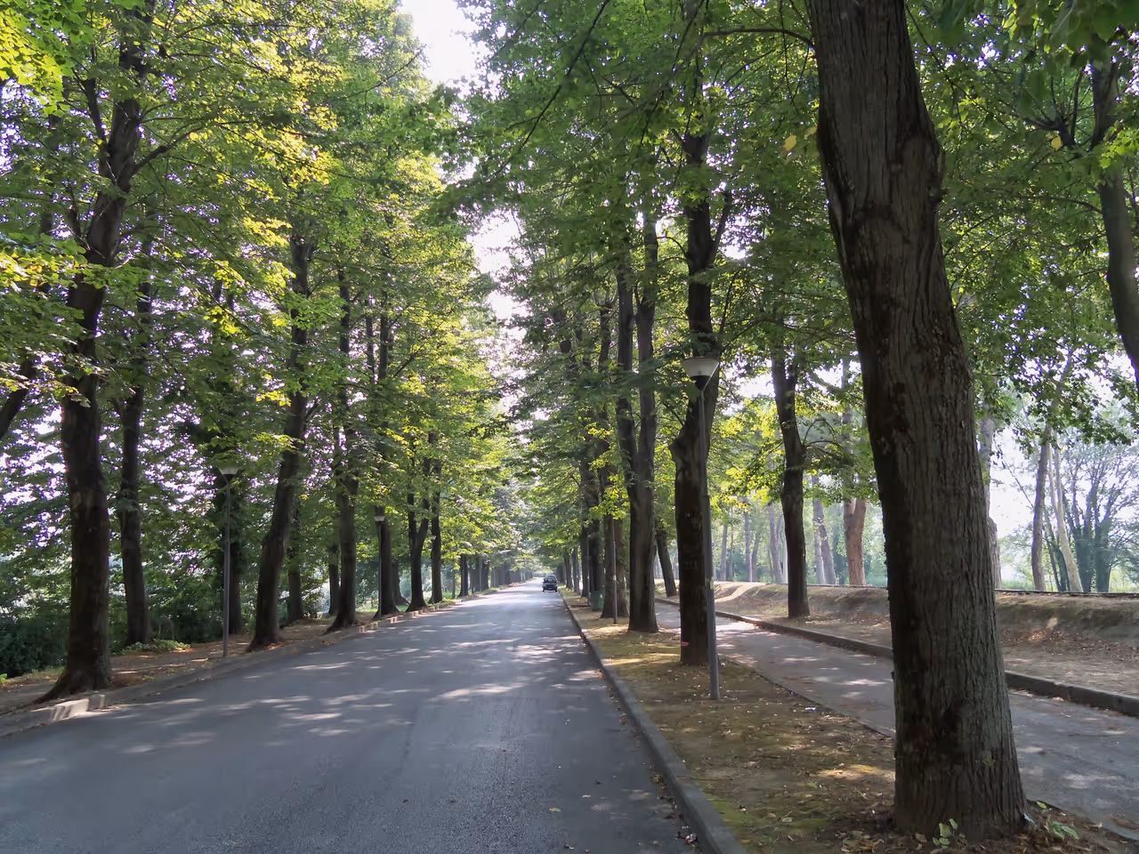 Viale delle piagge in Pisa