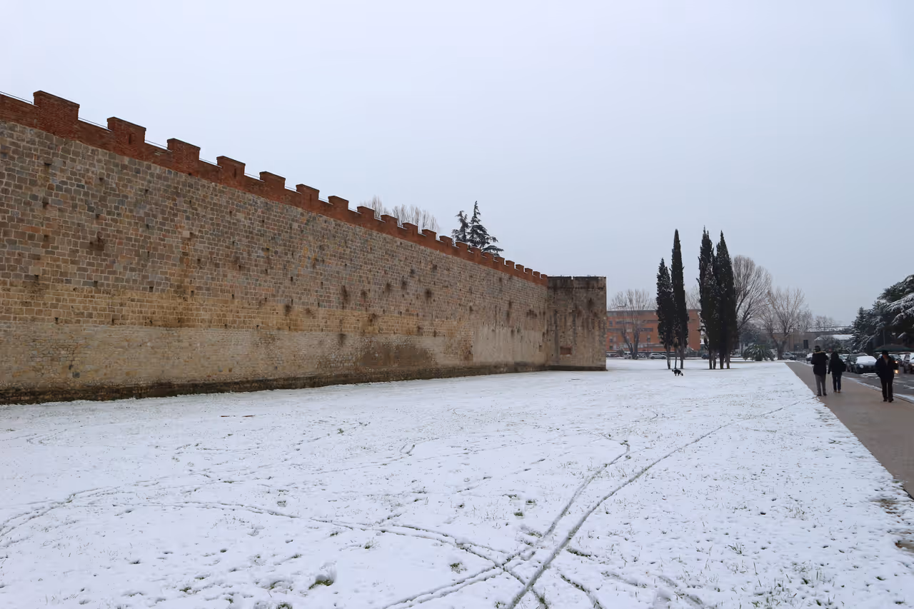 Winter highlight in Pisa