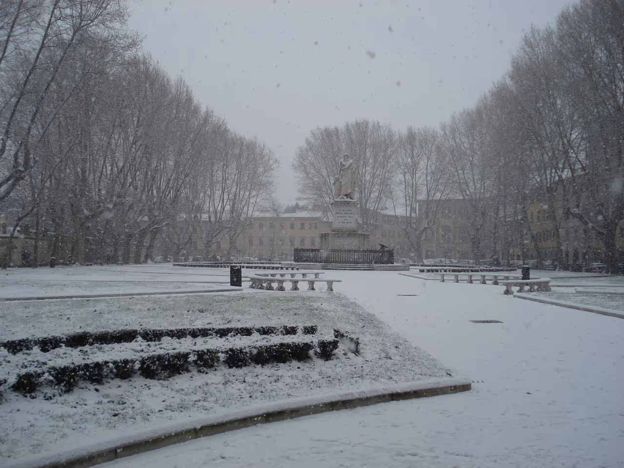 Winter highlight in Pisa