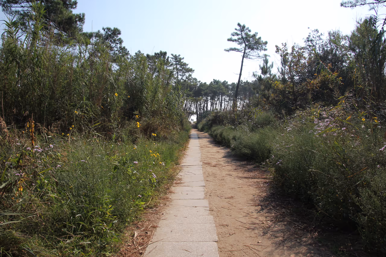 Hiking in Ravenna