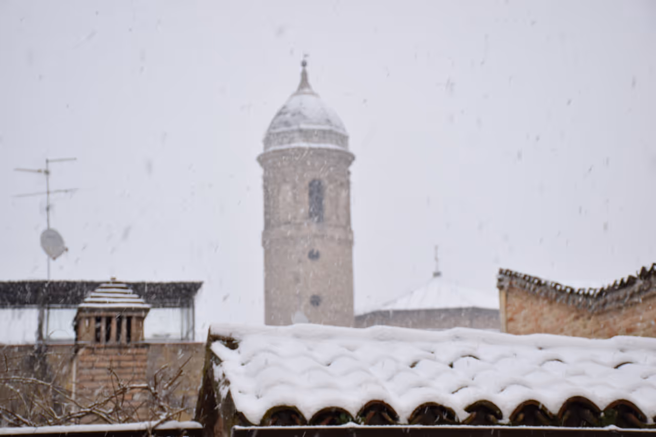 Winter highlight in Ravenna