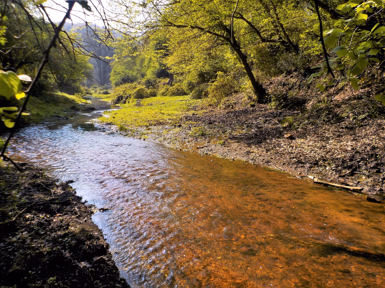 Cremera Valley, Sorbo Area