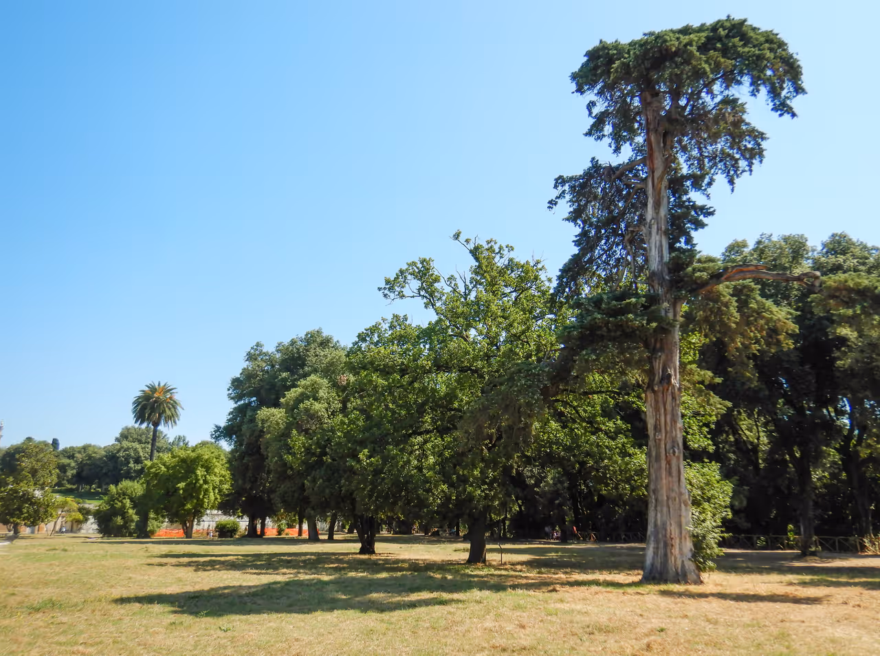 Janiculum hill in Rome