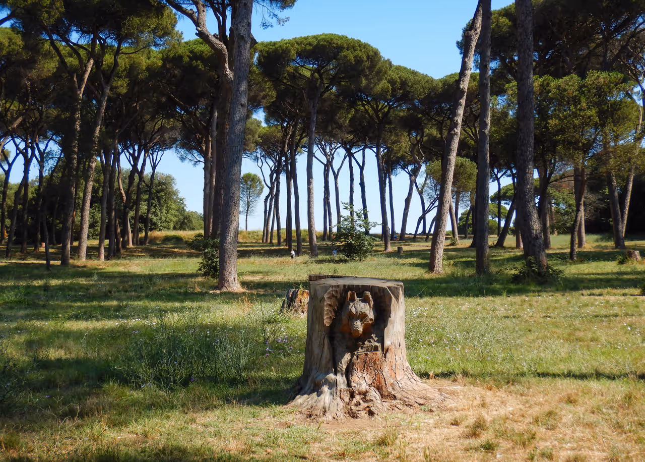 Explore NATURE & PARKS in Rome