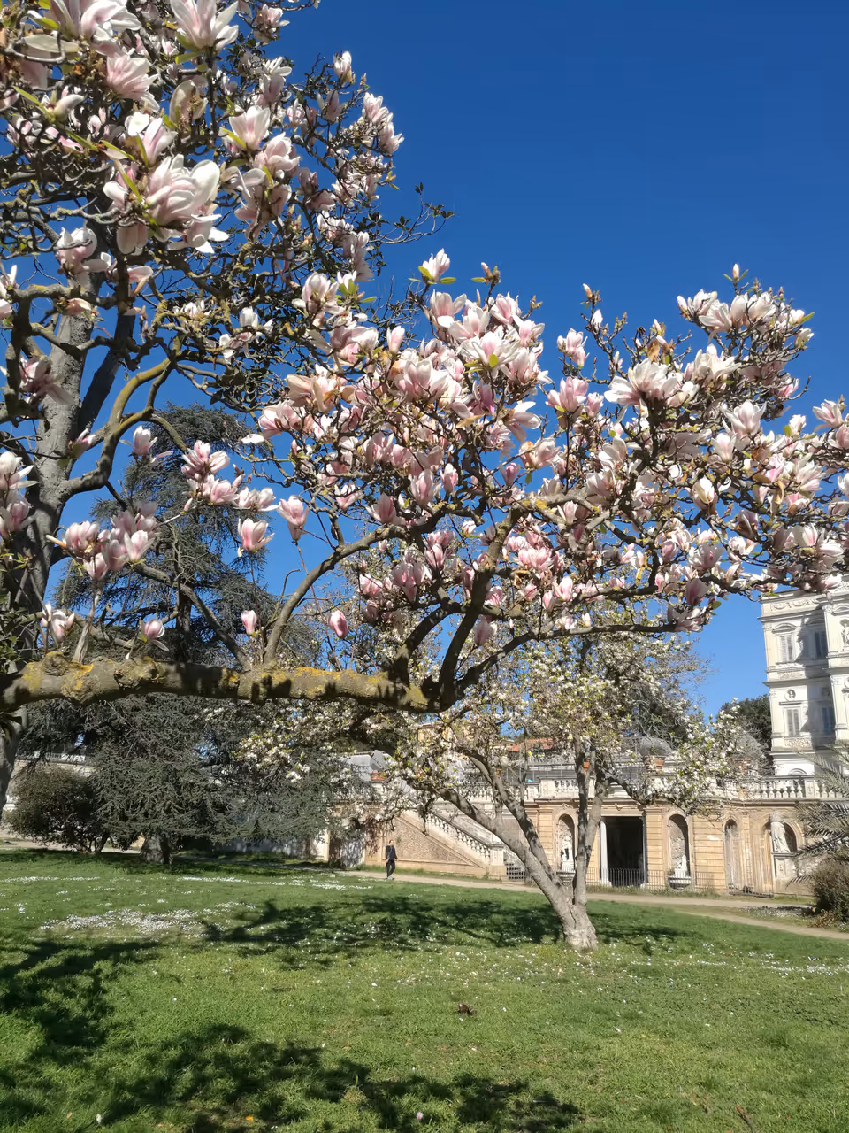 The vast gardens of villa doria pamphili in Rome