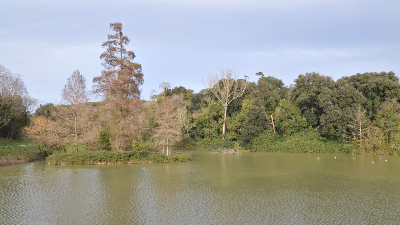The vast gardens of villa doria pamphili in Rome