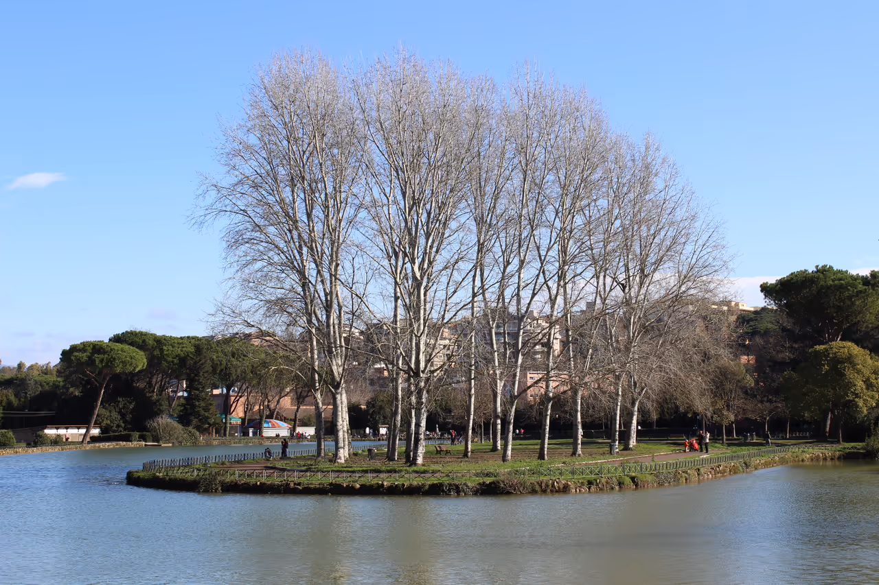Villa ada savoia in Rome