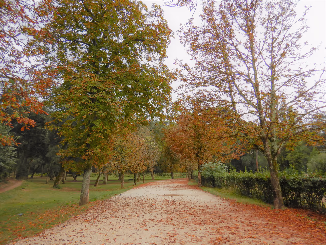 Autumn highlight in Rome