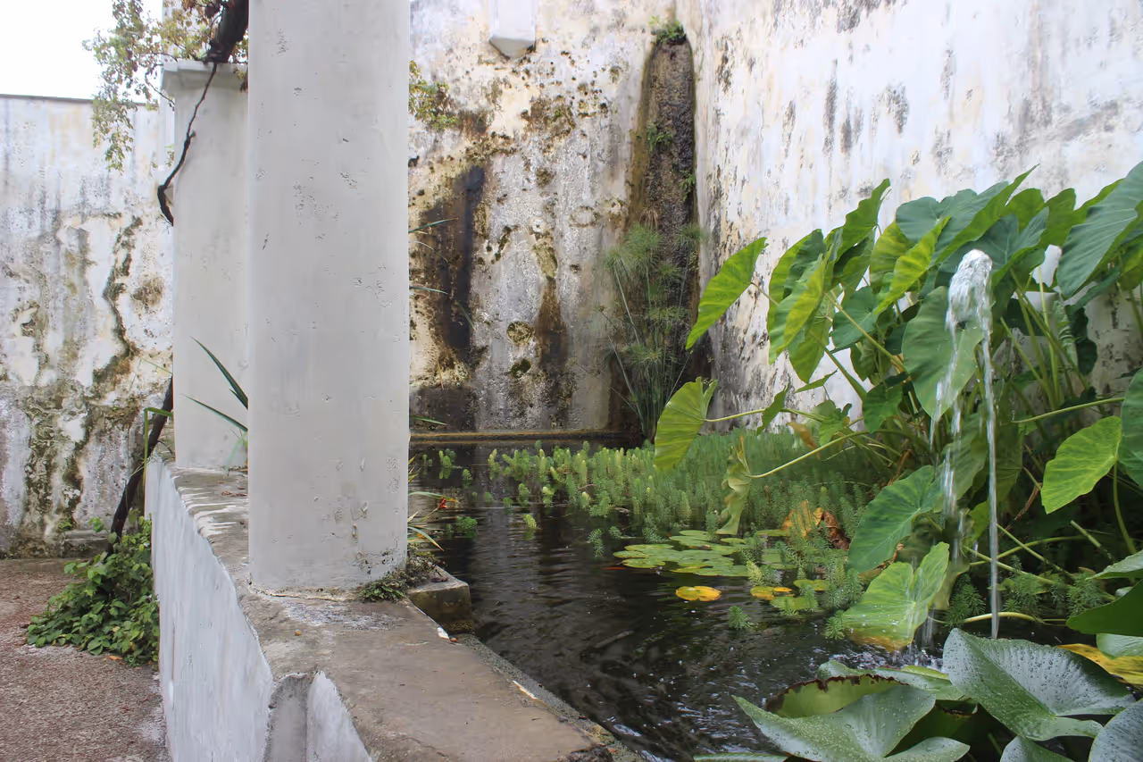 Giardino della minerva in Salerno