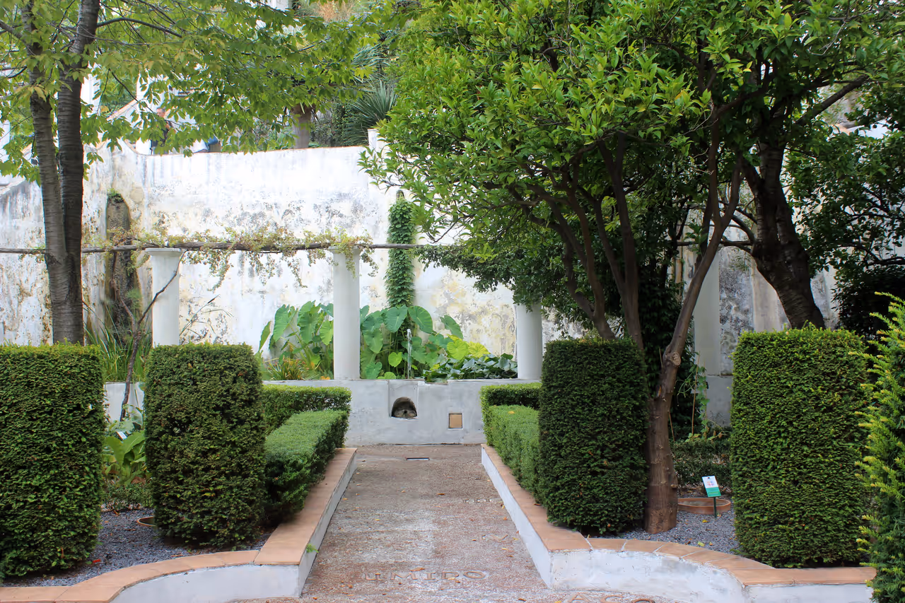 Giardino della minerva in Salerno