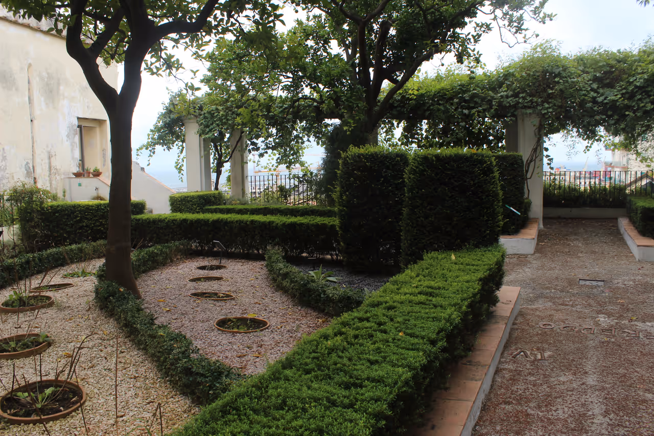 Giardino della minerva in Salerno