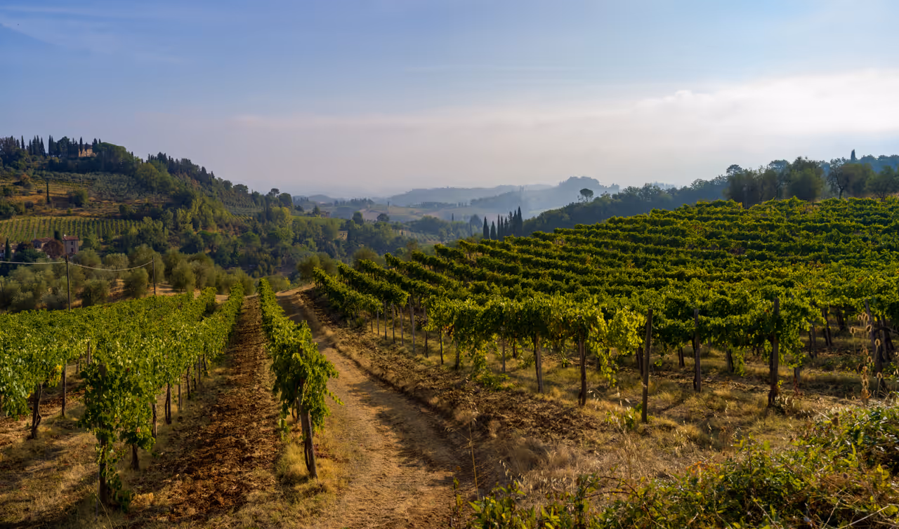 Hiking the via francigena in Siena
