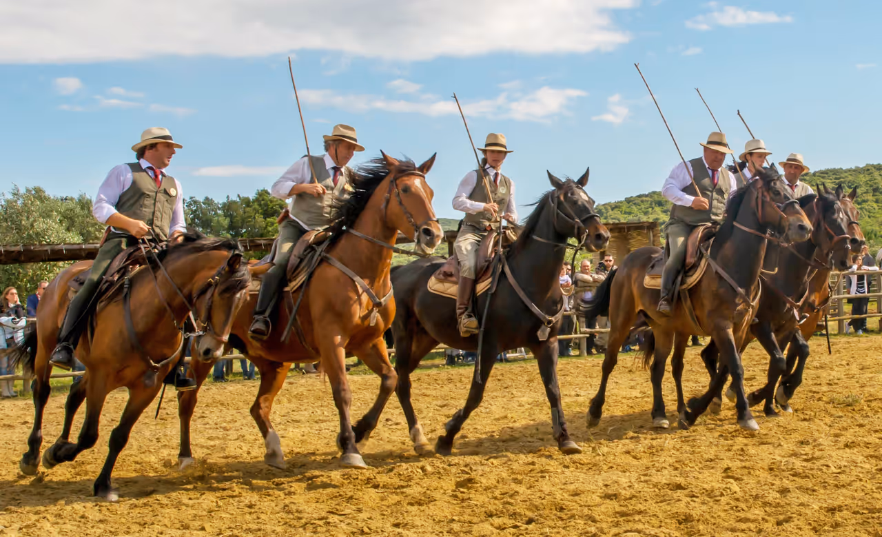 Horseback riding in chianti in Siena