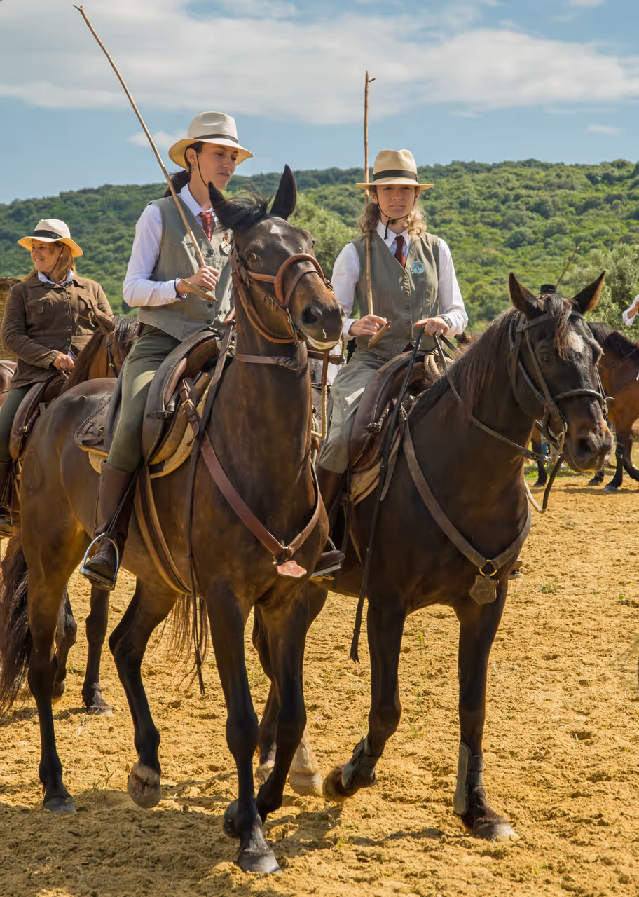 Horseback riding in chianti in Siena