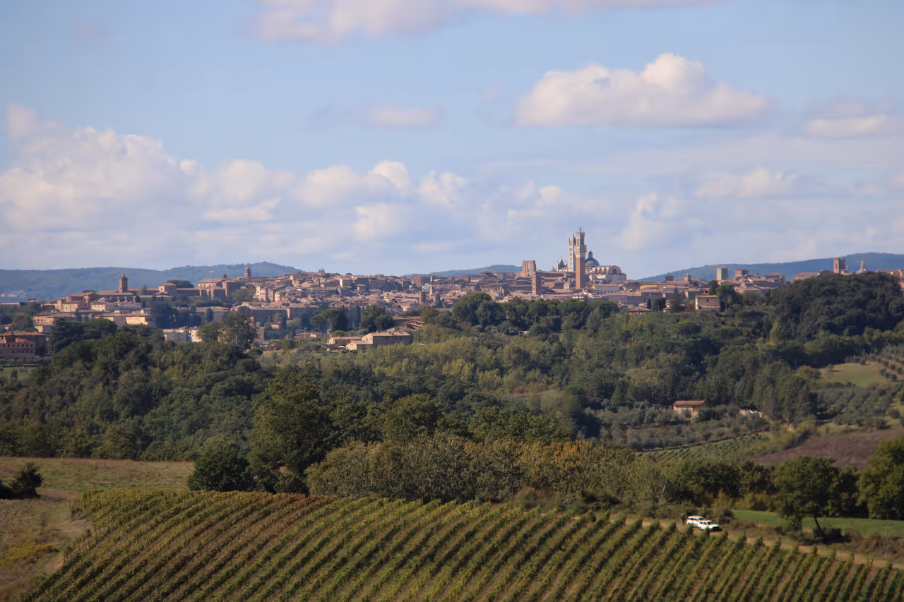 Siena nature