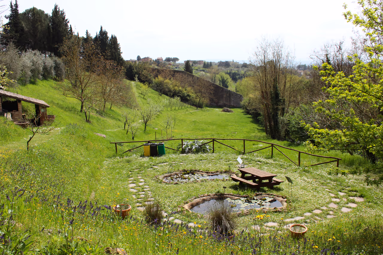 Botanical garden in Siena