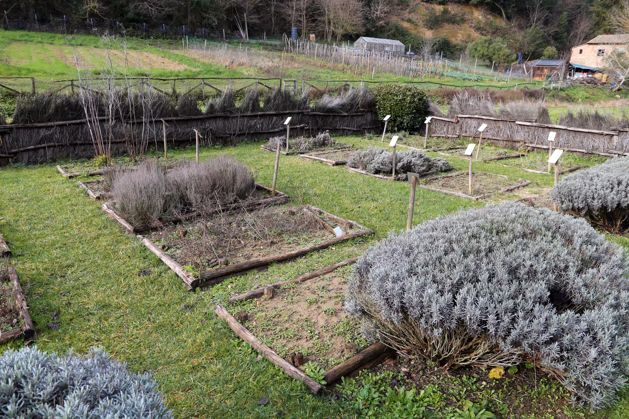 Pecci garden free activity in Siena