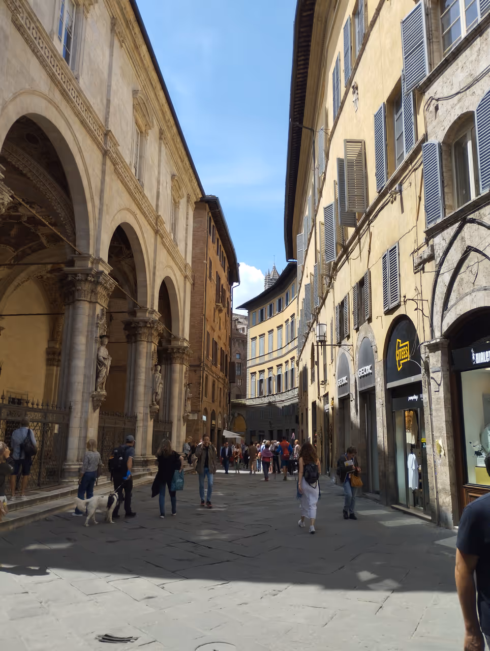 Window shopping on via di città free activity in Siena