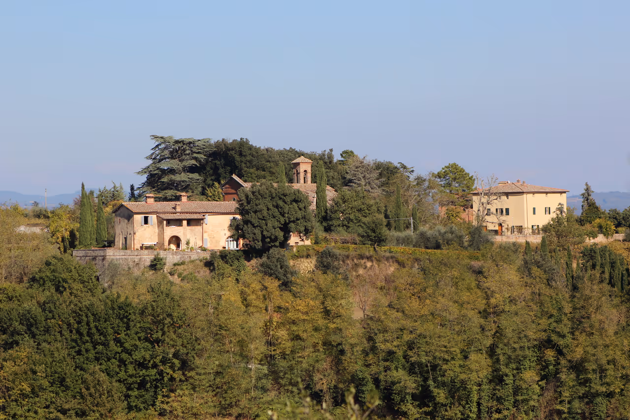 Val di pugna vineyards in Siena