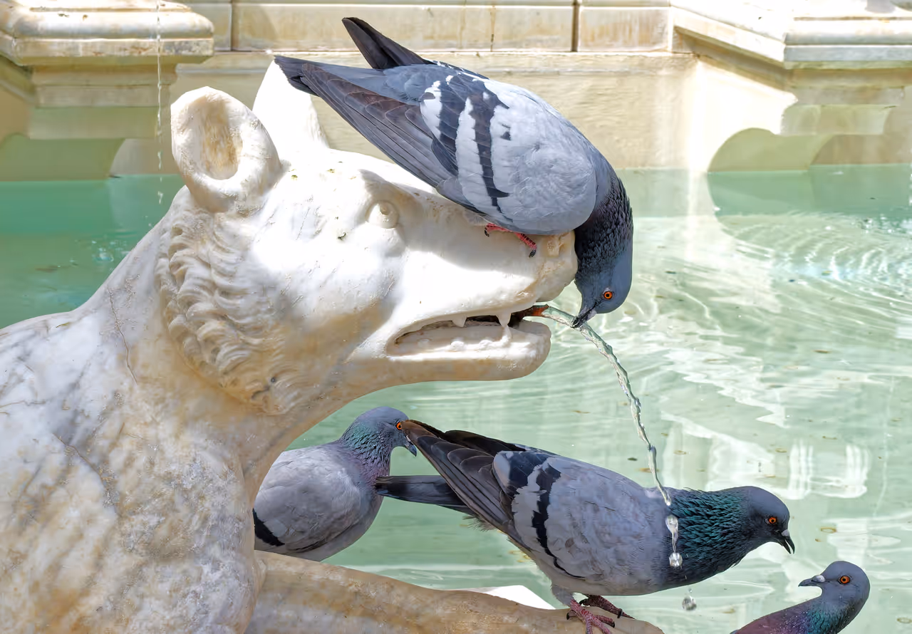 Fountain of joy in Siena