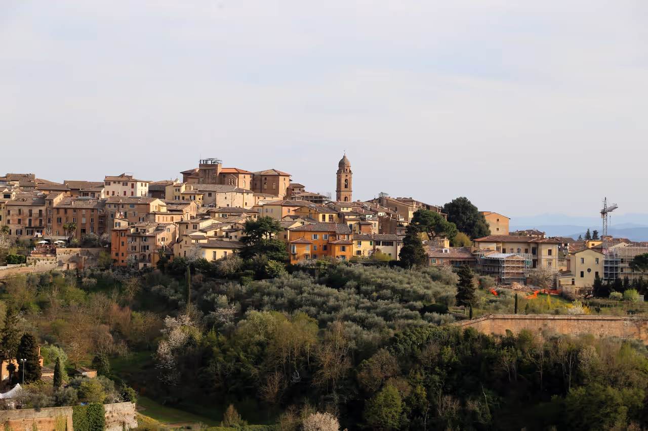 View from Medici fortress in Siena