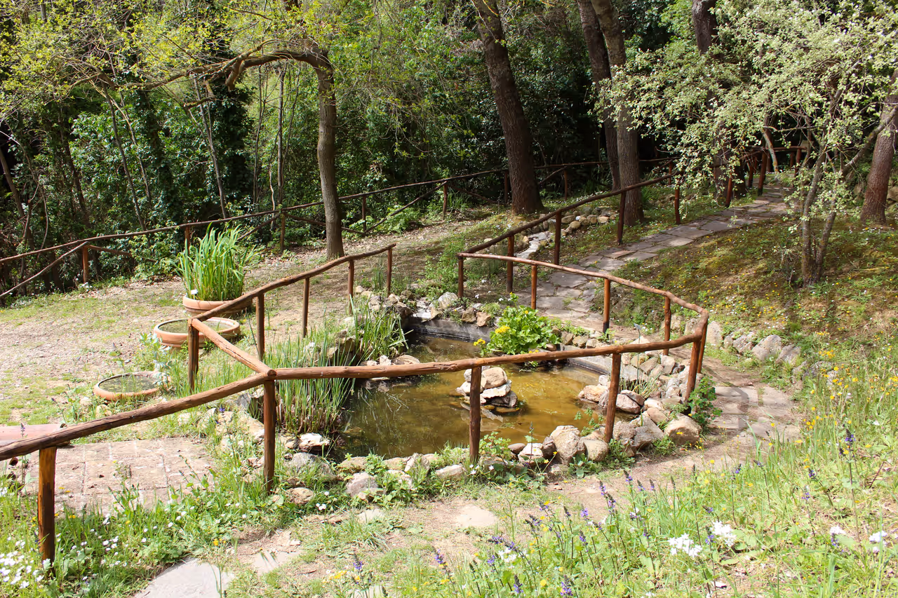 Botanical garden in Siena