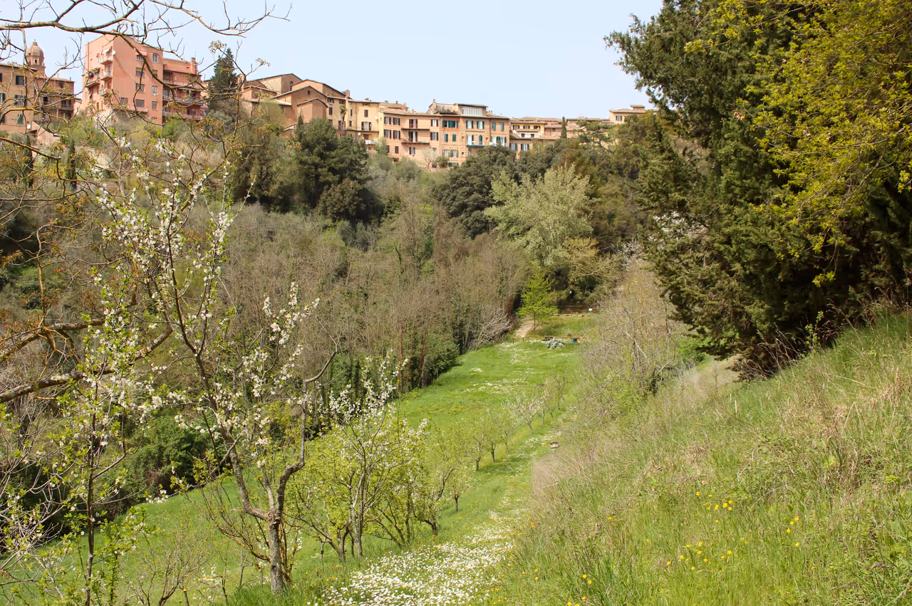 Botanical garden in Siena
