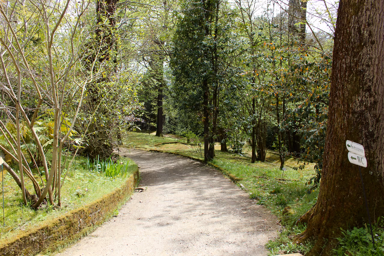 Botanical garden in Siena