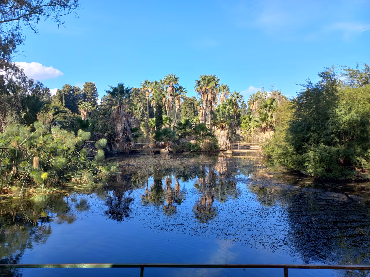 Syracuse Nature Reserve