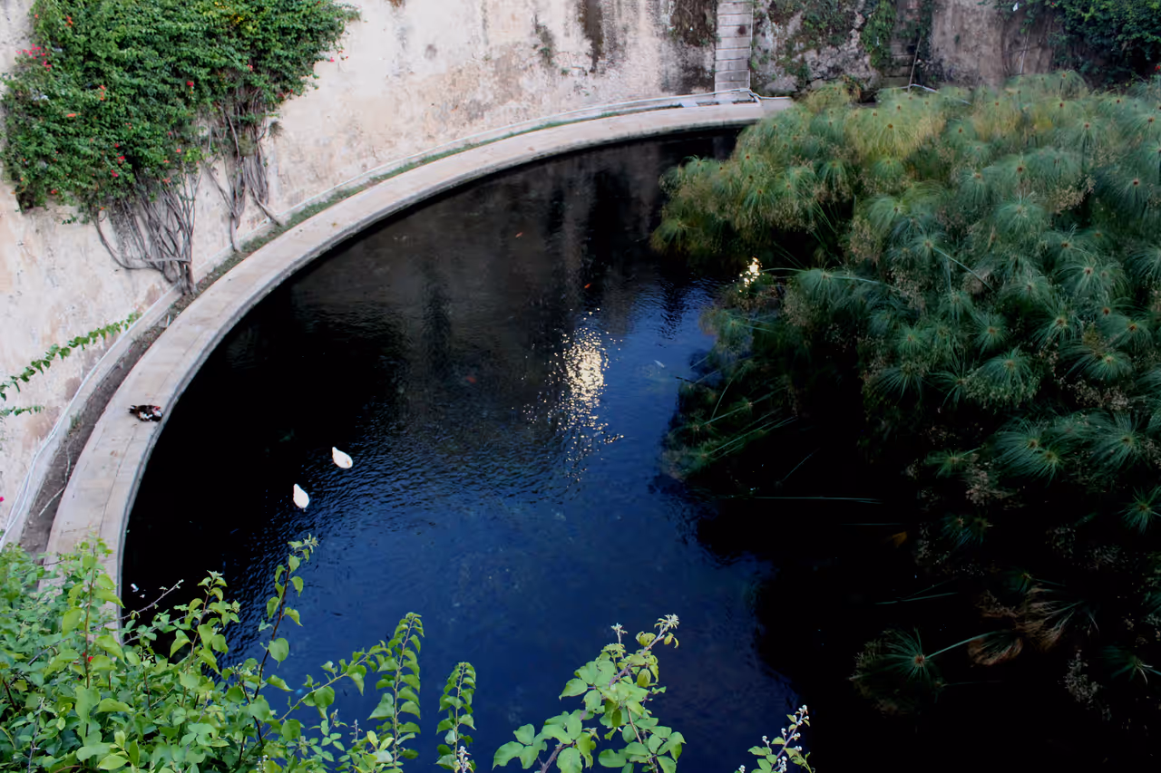 Fountain of arethusa in Syracuse