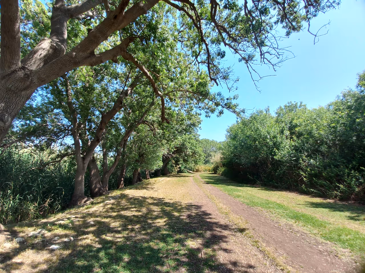 Ciane river and salt pans nature reserve in Syracuse