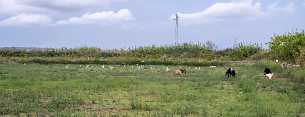 Ciane river and salt pans nature reserve in Syracuse