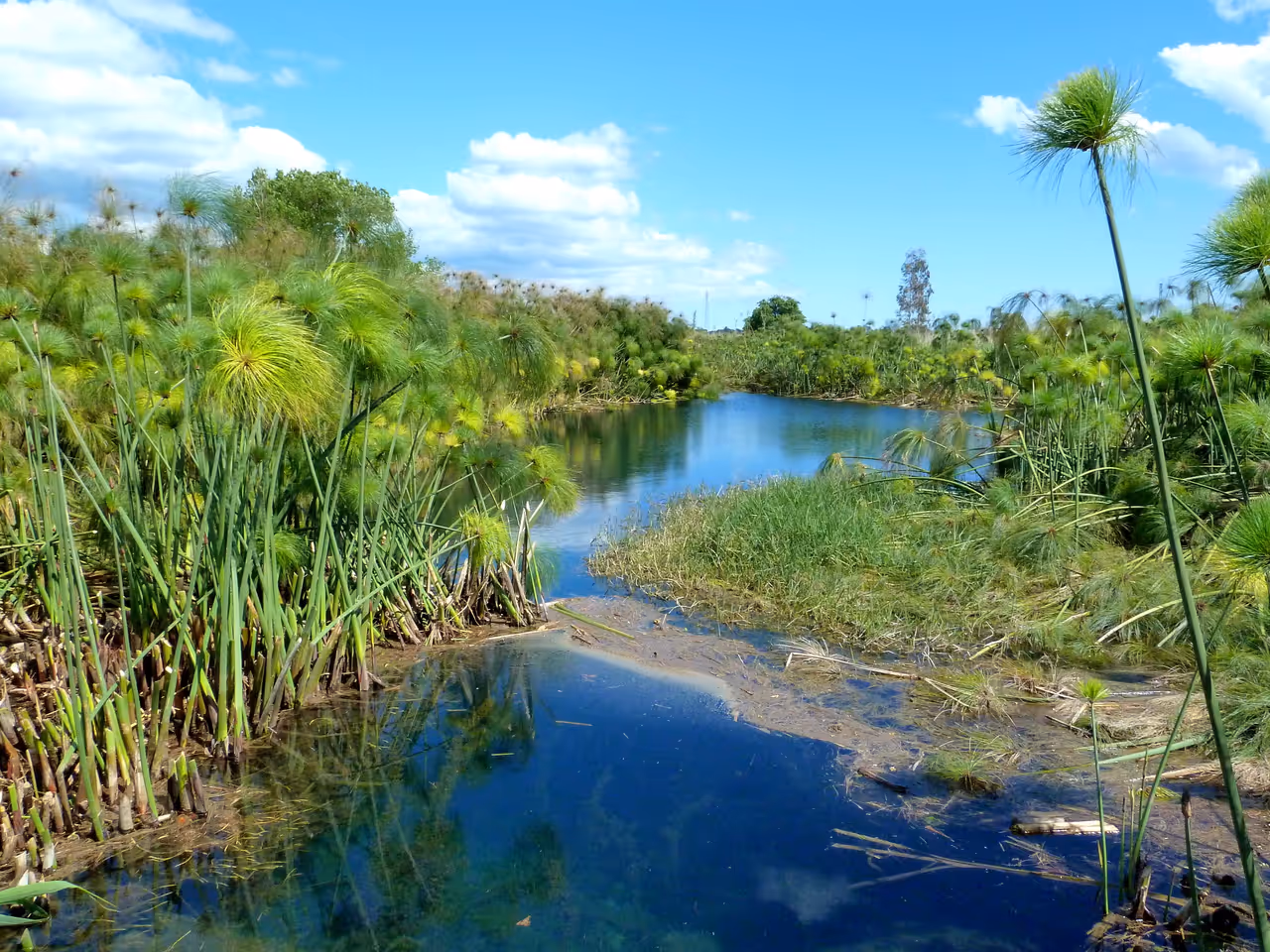 Ciane river and salt pans nature reserve in Syracuse