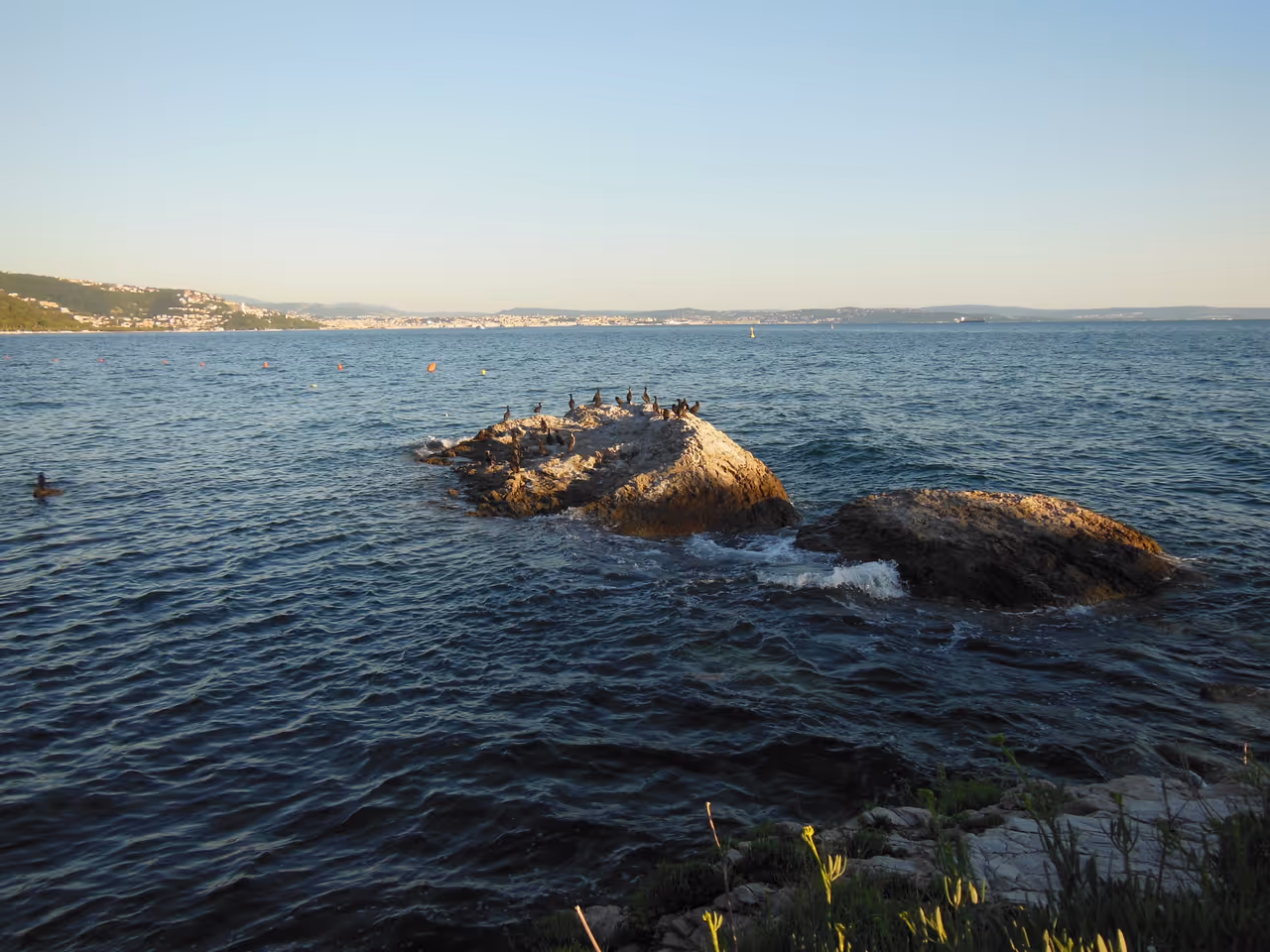 Marine reserve snorkelling in Trieste
