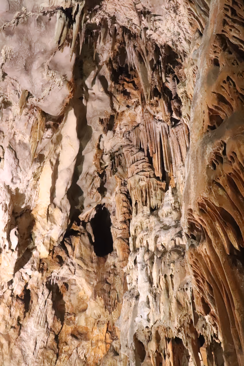 Grotta gigante in Trieste