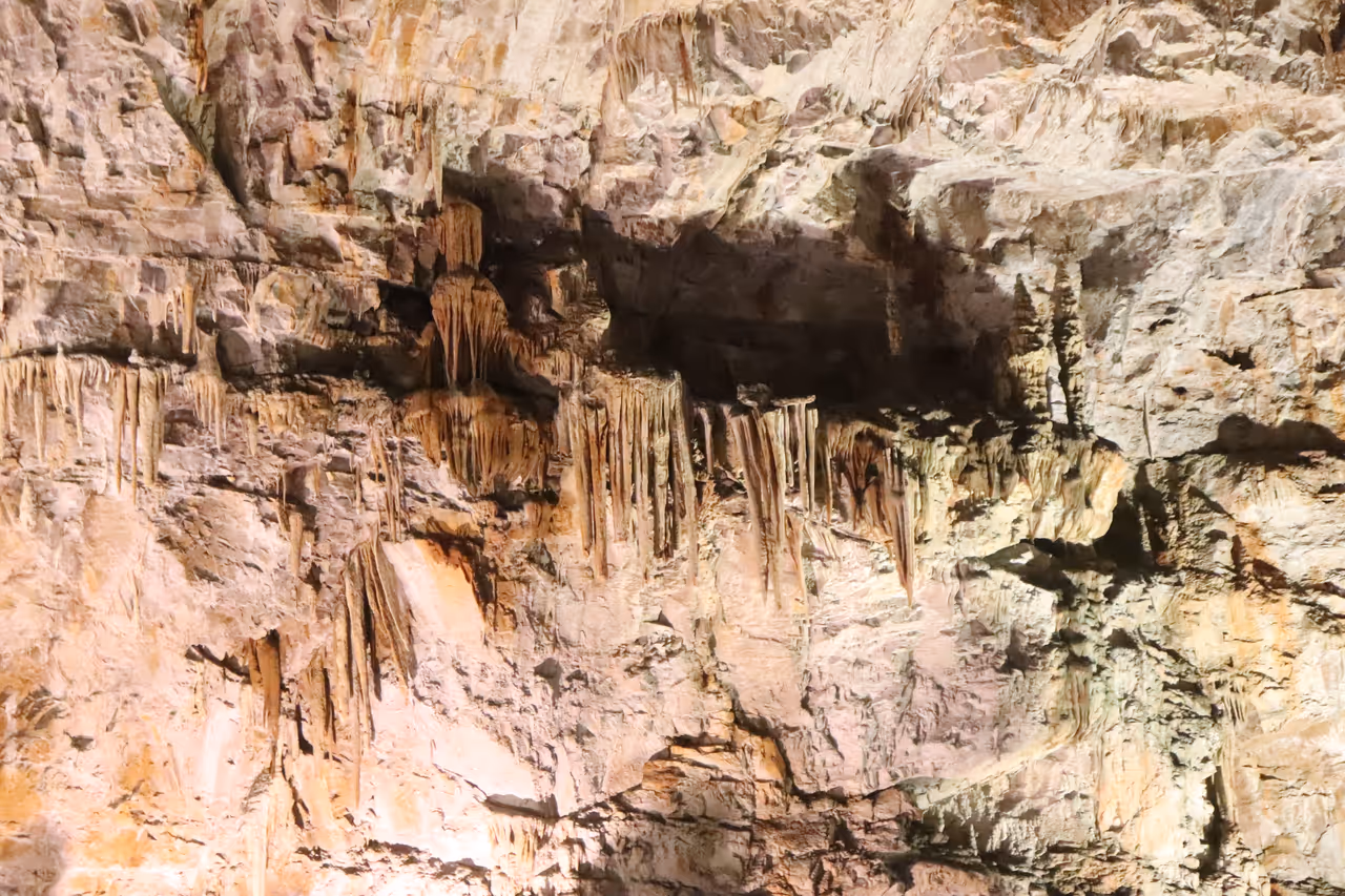 Grotta gigante in Trieste