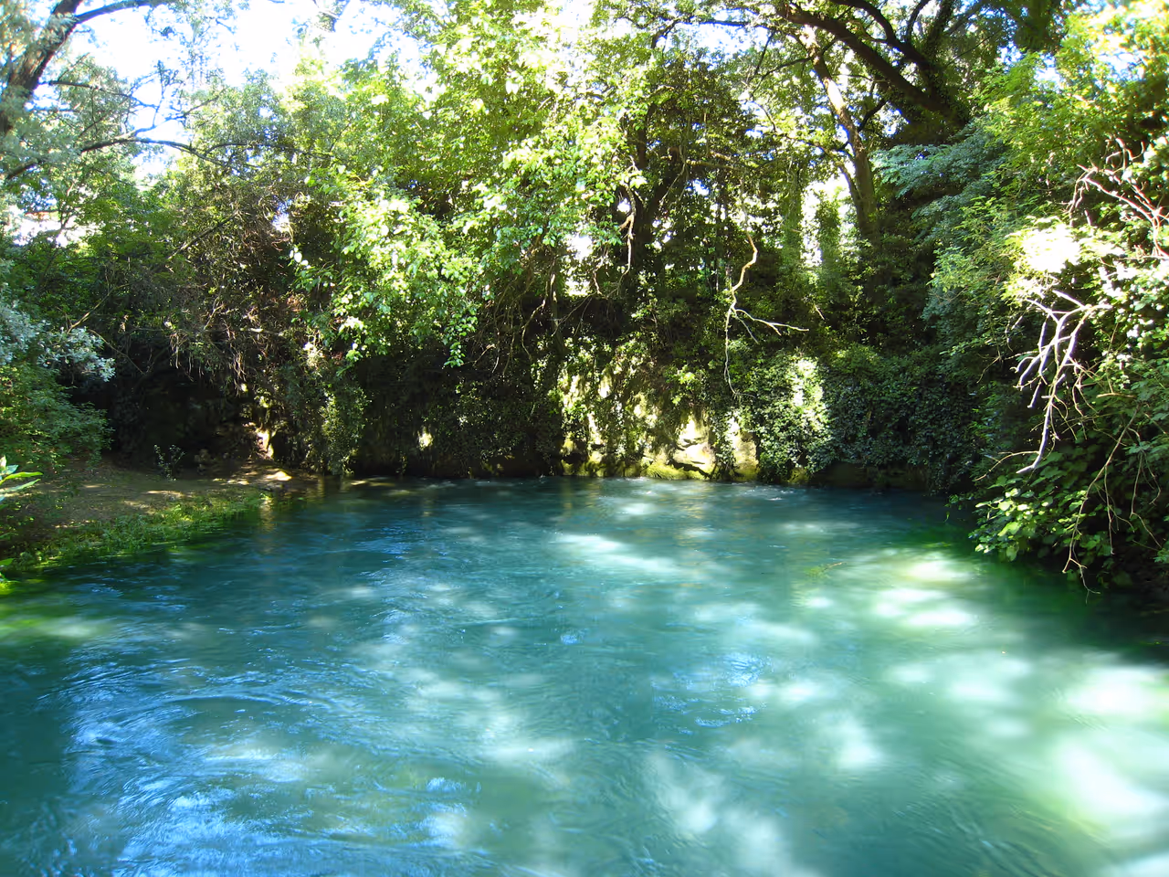 One of the springs of the Timavo River