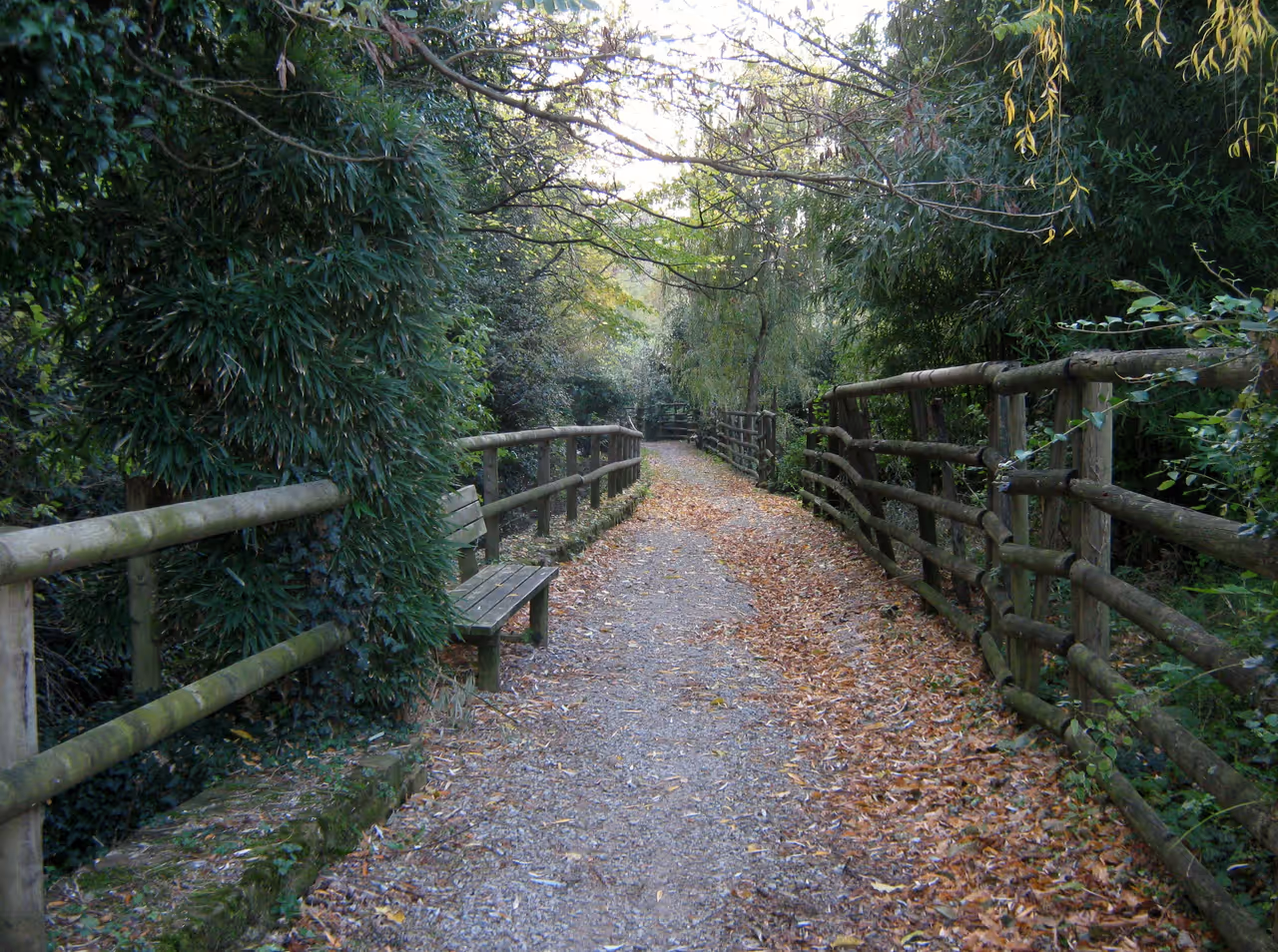 Walk along the stream of the Bosco Farnetto City Park