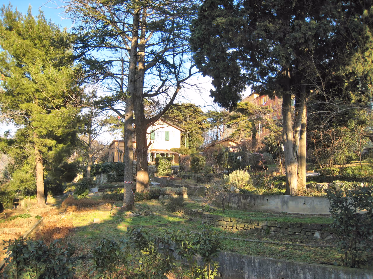 Civic botanical garden of in Trieste