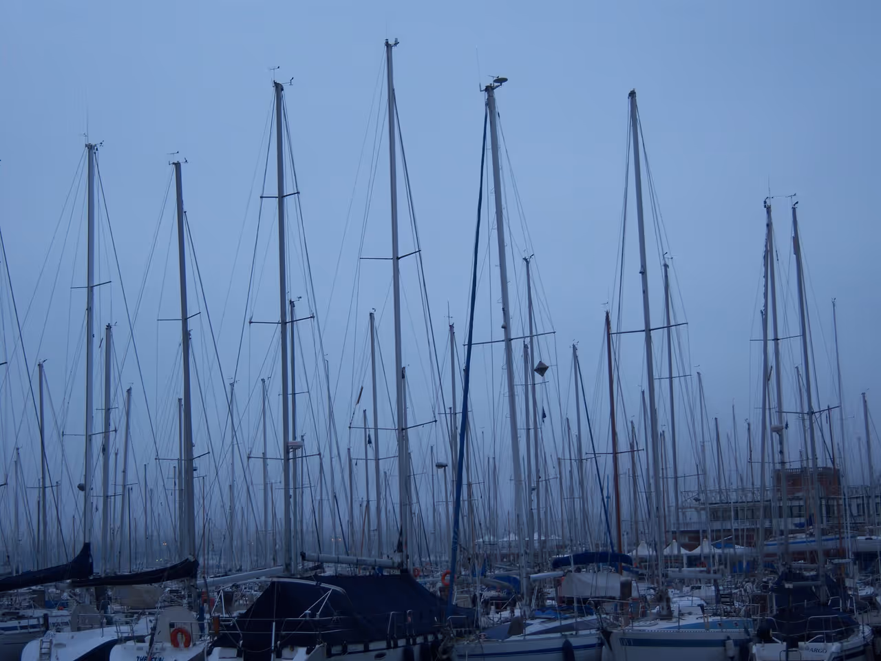 Winter highlight in Trieste