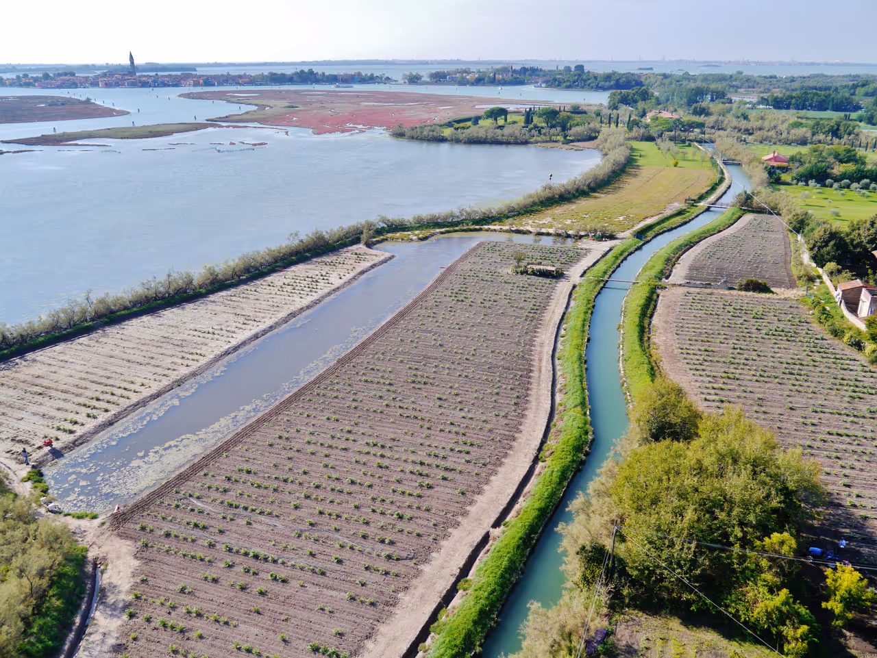 Visit torcello island in Venice