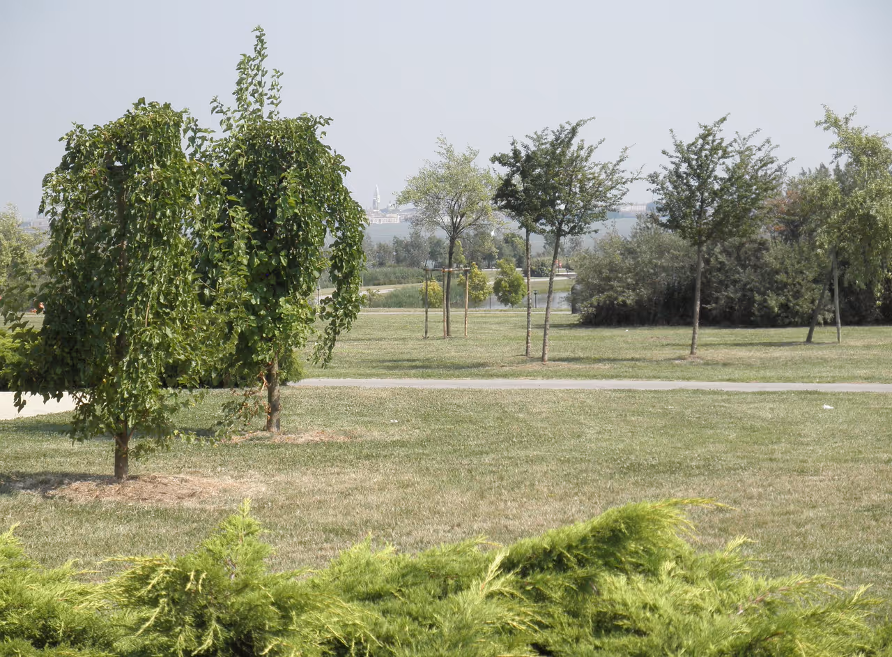 San giuliano park in Venice