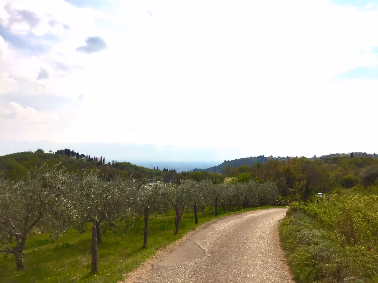 Hiking the torricelle in Verona