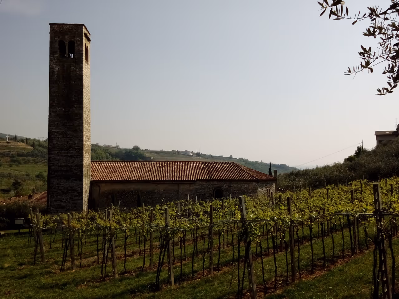 Valpolicella wine tasting in Verona