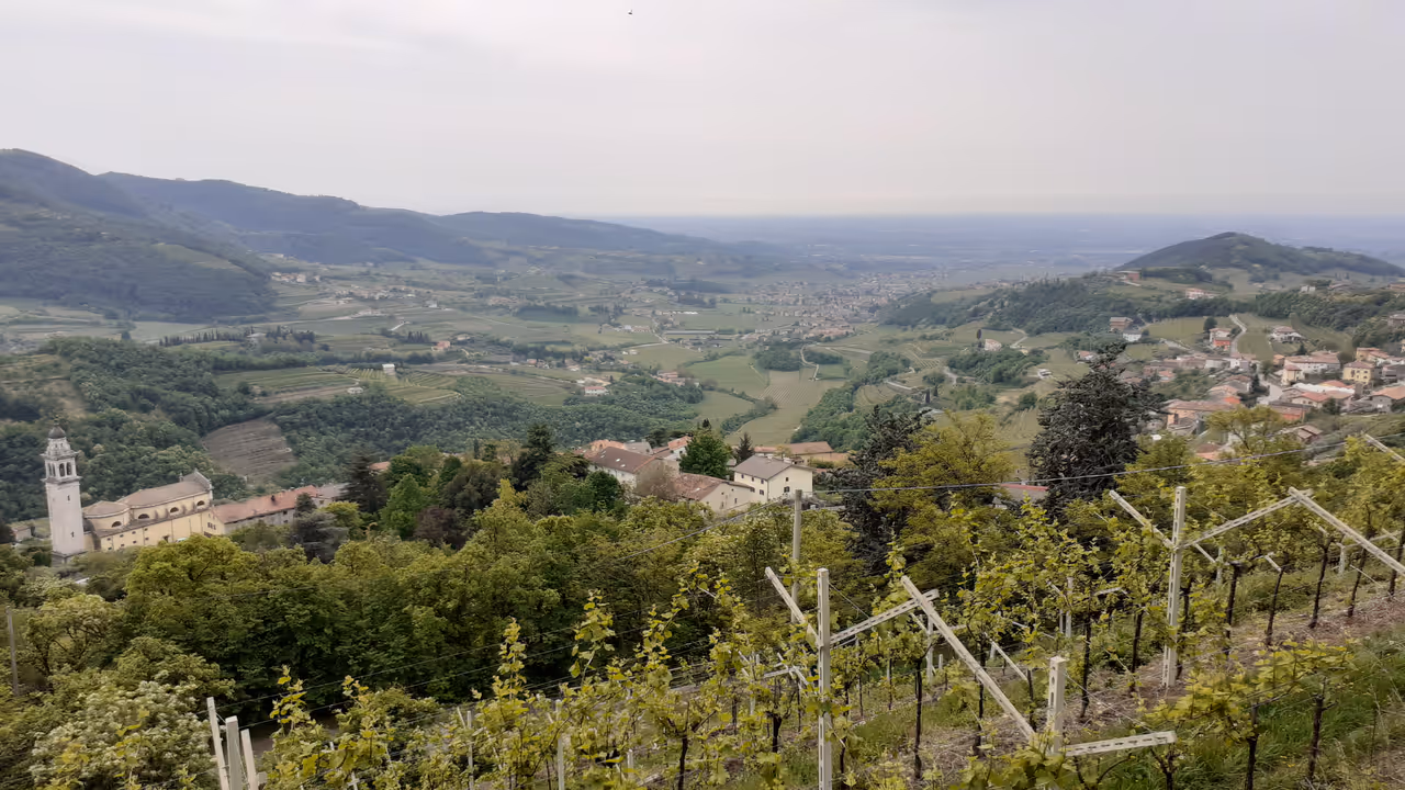Valpolicella vineyard ride cycling in Verona