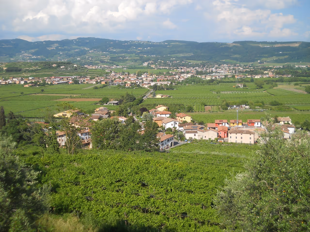 Valpolicella vineyard ride cycling in Verona
