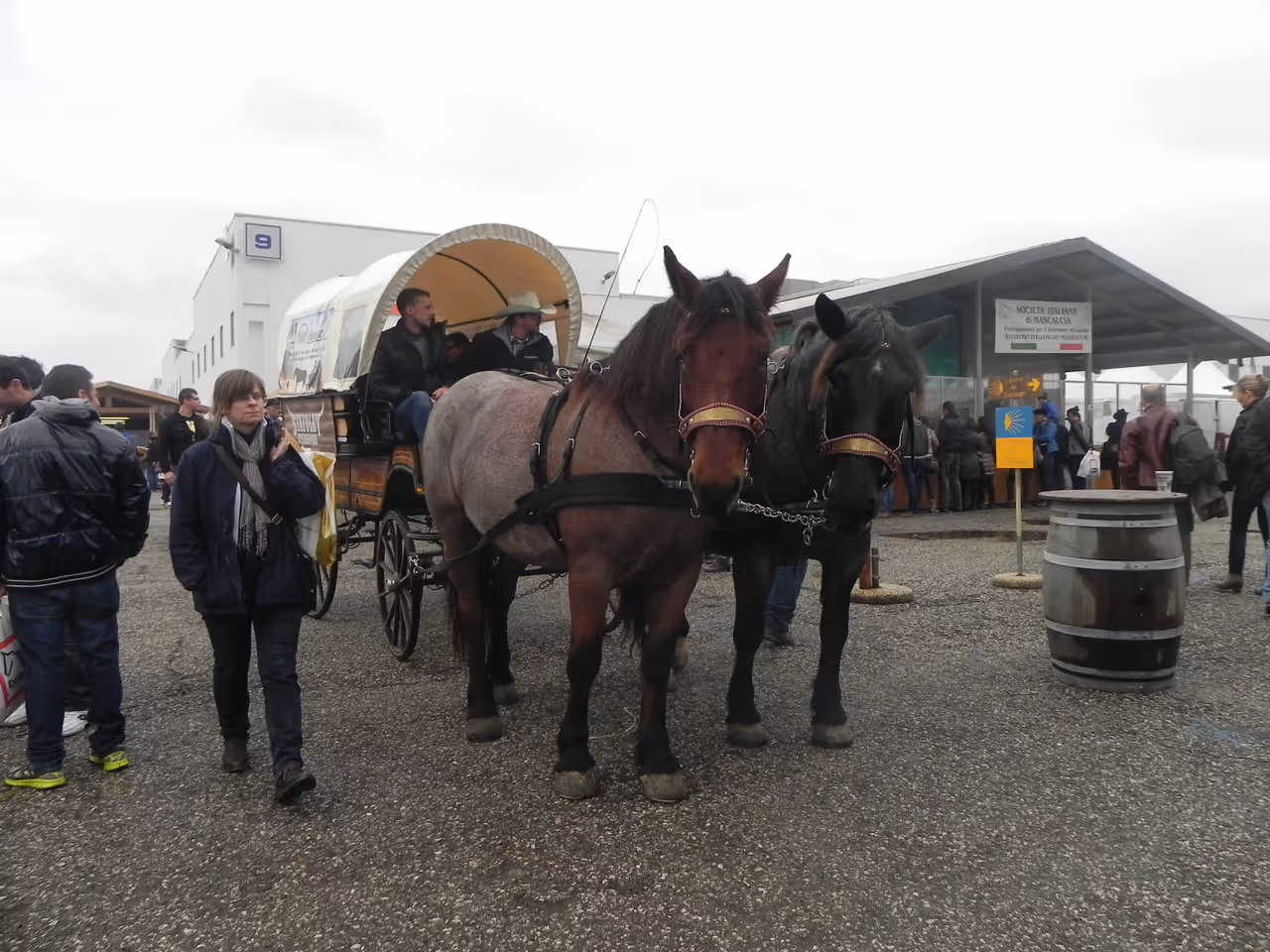 International horse fair festival in Verona